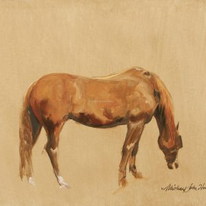 horse_grazing